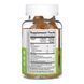 Turmeric Curcumin with Ginger & Black Pepper Extract Kids - 60 gummies 2023-10-7298 фото 2