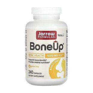 BoneUp - 240 caps 2023-10-5564 фото