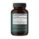Reishi Mushroom 1000 mg - 60 vegcaps (Без етикетки) 2023-10-7963 фото 2