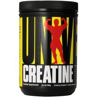 Creatine Micronized - 300g 100-73-0295224-20 фото