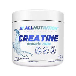 Creatine Muscle Max - 250g 100-34-9678295-20 фото