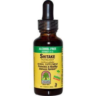 Natures Answer, Шиитаке плодовое тело, безалкогольное 1 жидких унции (30 мл) NTA-00674 фото
