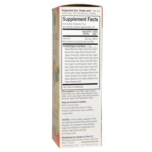 Garden of Life, MyKind Organics, Органический спрей с витамином B-12, со вкусом малины, 2 унции (58 мл) GOL-11779 фото