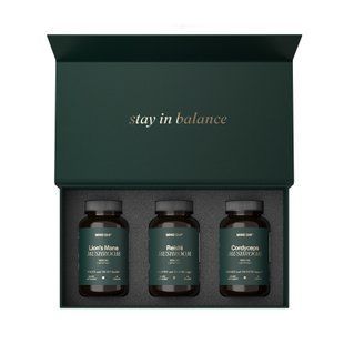 MIND SHI Mushroom Premium Box 2023-10-5558 фото