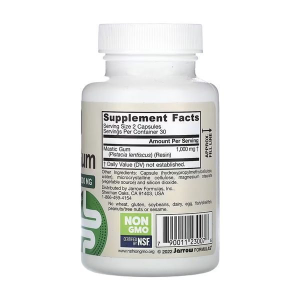 Mastic Gum 1000mg - 60 vcaps (До 01.27) 2024-11-0372 фото
