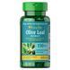 Olive Leaf Standardized Extract 150mg - 60capsules 100-81-7467845-20 фото 1