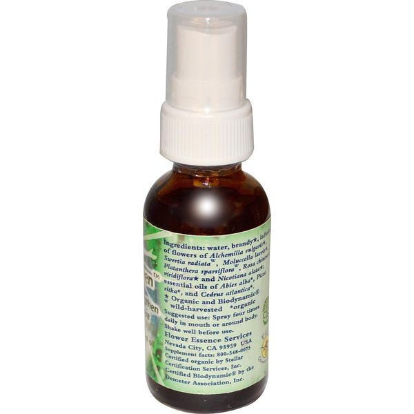 Flower Essence Services, Grounding Green, цветочная эссенция и эфирное масло, 30 мл FES-15102 фото