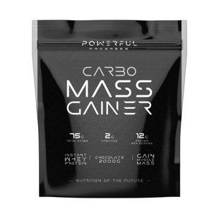 Carbo Mass Gainer - 2000g Coconut 100-81-4995962-20 фото
