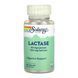 Lactase 40mg - 100 vcaps 2023-10-6762 фото 1