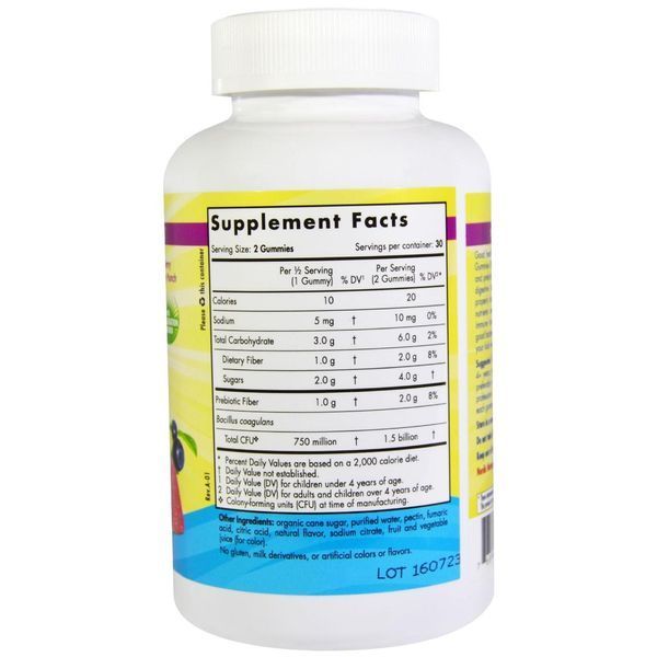 Nordic Naturals, Пробиотические жевательные конфеты, для детей, Веселый ягодный взрыв, 60 жевательных конфет NOR-30170 фото