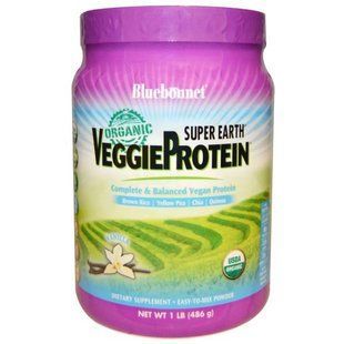 Bluebonnet Nutrition, Super Earth, органический растительный протеин, ваниль, 1 фунт (486 г) BLB-01900 фото