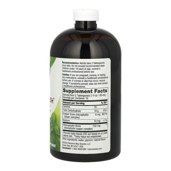 Chlorofresh&reg; Liquid - 16 oz Mint (Пошкоджена банка) 2023-10-7867 фото