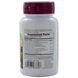 Natures Plus, Herbal Actives, Ресвератрол, 125 мг, 60 рослинних таблеток NAP-07370 фото 2