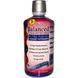 Heaven Sent Naturals, Рідкі вітаміни Збалансовані основи, 32 рідких унції (946 мл) HVS-05031 фото 1