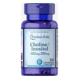 Choline Bitartate Inositol 102mg/250mg - 100 caps 2022-10-1678 фото