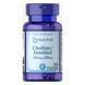 Choline Bitartate Inositol 102mg/250mg - 100 caps 2022-10-1678 фото 1