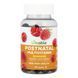 Postnatal - 60 gummies 2023-10-7291 фото 1