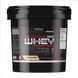 Prostar Whey 10lb - 4540g Vanilla 2022-10-0882 фото 1