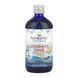 Children's DHA - 473 ml 2023-10-6513 фото 1