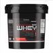 Prostar Whey 10lb - 4540g Strawberry 2022-10-0883 фото 1