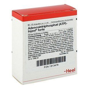 Heel ATP Injeele Forte 1,1 ml, АТФ, (10 Stk.) 01813478 фото