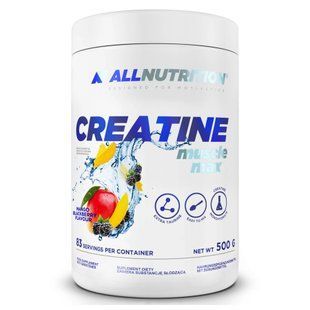 Creatine Muscle Max - 500g Mango Blackberry 100-78-8690203-20 фото