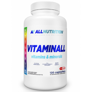 VitaminALL Vitamins and Minerals - 120caps 100-39-0086339-20 фото