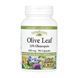 Olive Leaf 500mg - 90 caps 2023-10-5752 фото 1