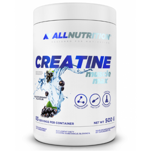 Creatine Muscle Max - 500g Buble Gum 100-65-6404300-20 фото