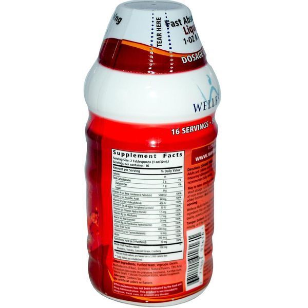 Wellesse Premium Liquid Supplements, Мультивитамины+, натуральный аромат цитрусовых, 16 жидких унций (480 мл) WLS-91616 фото