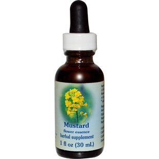 Flower Essence Services, Горчица, цветочная эссенция, 30 мл FES-21021 фото