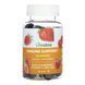 Immune Support Adult - 60 gummies 2023-10-7274 фото 1