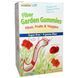 Rainbow Light, Жевательные конфеты Fiber Garden, со вкусами кислых ягод, яблока и мандарина, 30 пакетиков, 4 жевательные конфеты (8 г) в каждом RLT-12101 фото 1