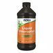 Chlorophyll Liquid Mint - 16 oz (Повреждена банка) 2023-10-7990 фото 1