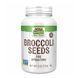 Broccoli Seeds Sprouting - 113g 2022-10-1376 фото 1