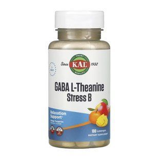 GABA L-Theanine Stress B - 100 lozenges 2023-10-5194 фото