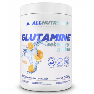 Glutamine Recovery Amino - 500g Orange 100-68-6599233-20 фото
