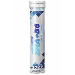ZMA+B6 - 20tab Lemon 100-48-1486810-20 фото