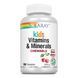 Kids Vitamins & Minerals - 120 chewables Black Cherry (Повреждена банка) 2023-10-7822 фото 1