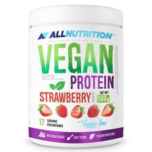 Vegan Protein - 500g Strawberry 100-66-7193175-20 фото