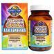 Garden of Life, Vitamin Code, Сырой комбуча, 60 веганских капсул UltraZorbe GOL-11393 фото 1