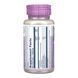 Milk Thistle Phytosome 200mg - 60 vcaps 2023-10-6875 фото 2