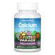 Kids Calcium Chewable Sugarfree - 90 tabs 2022-10-2843 фото 1
