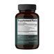 4Mushroom Complex 1000 mg - 60 vegcaps (Повреждена банка) 2023-10-7840 фото 2