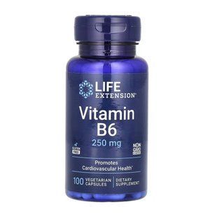 Vitamin B6 250 mg - 100 vcaps 2023-10-5139 фото