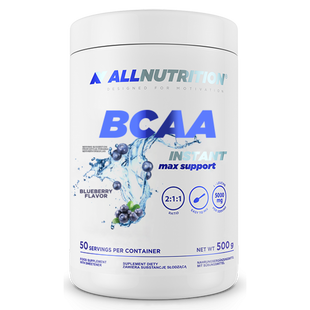 BCAA Max Support Instant - 500g Bllueberry (До 10.26) 2024-11-0179 фото
