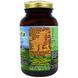 HealthForce Nutritionals, Хлорелла манна, 500 веганских таблеток HFC-00073 фото 2